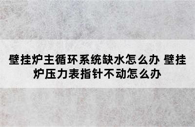 壁挂炉主循环系统缺水怎么办 壁挂炉压力表指针不动怎么办